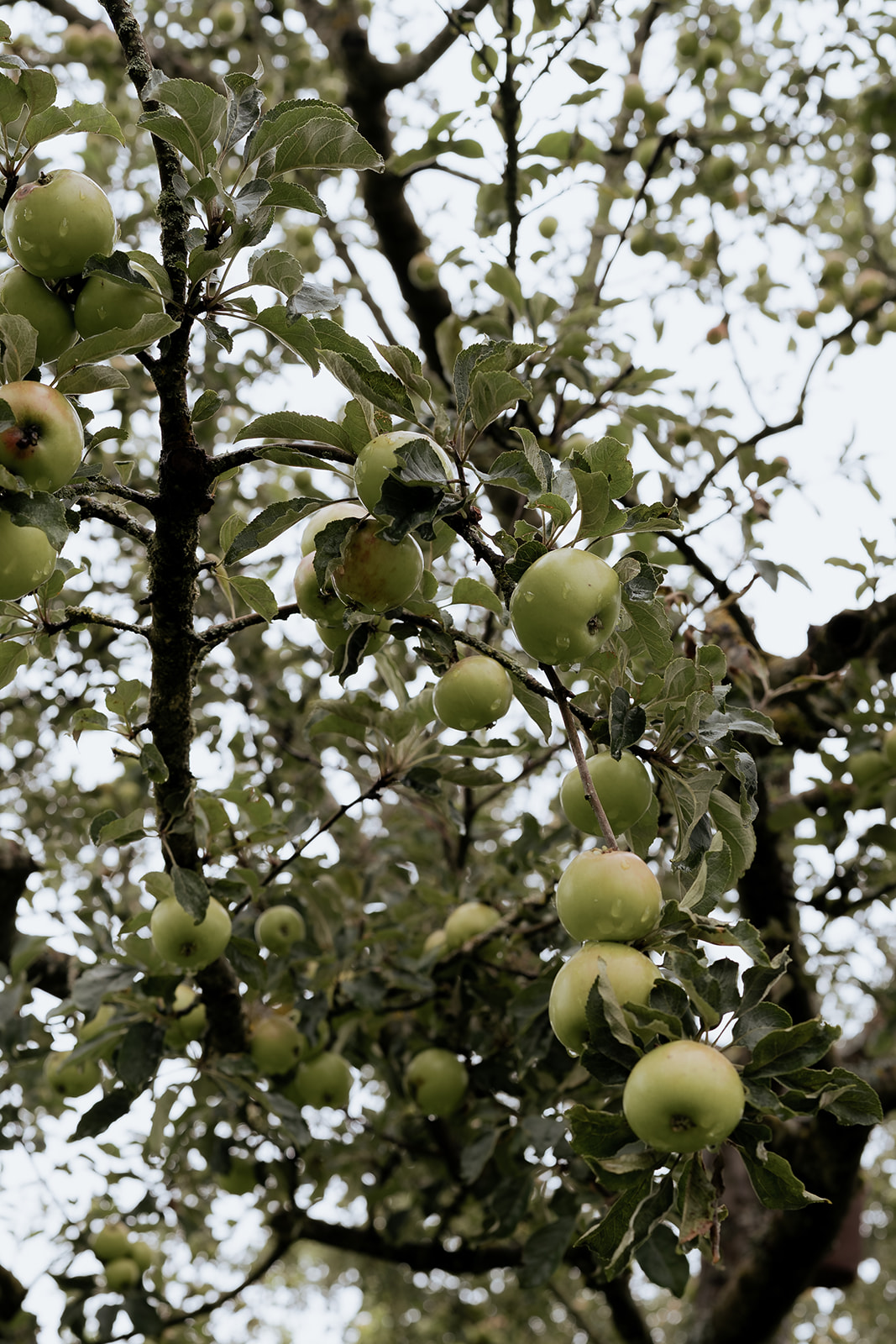 Eine emotionale Sommerhochzeit im Dachauer Rathaus und Dachauer Schloss